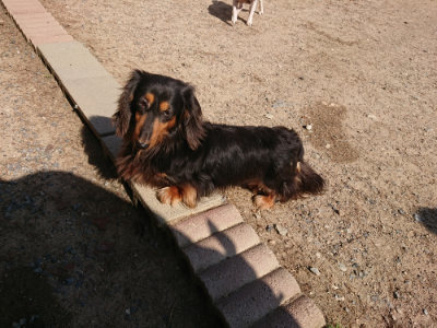 f:id:roukenhome-ann:20190524144937j:plain