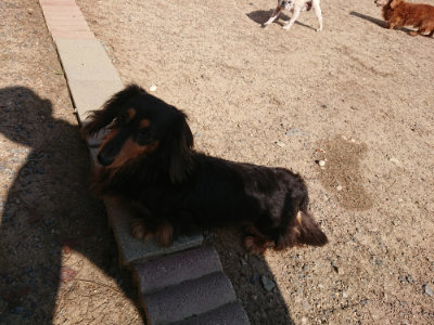 f:id:roukenhome-ann:20190524144946j:plain