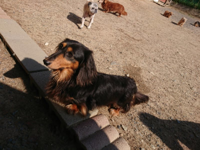 f:id:roukenhome-ann:20190524145005j:plain