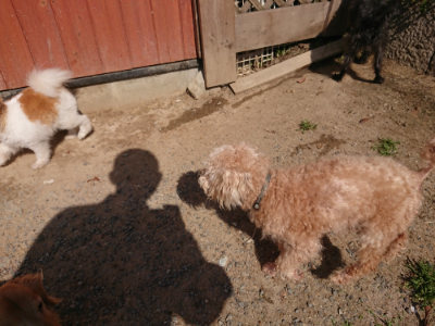 f:id:roukenhome-ann:20190524145011j:plain