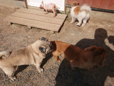 f:id:roukenhome-ann:20190524145052j:plain