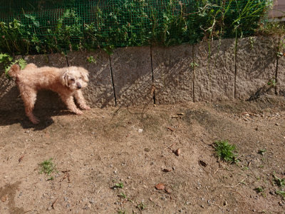 f:id:roukenhome-ann:20190524145120j:plain