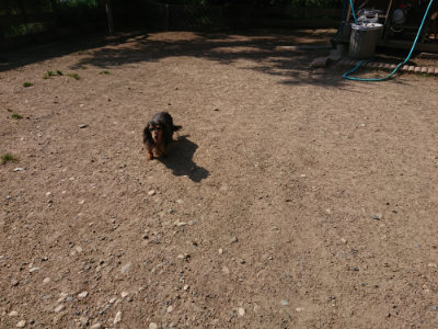 f:id:roukenhome-ann:20190524145128j:plain