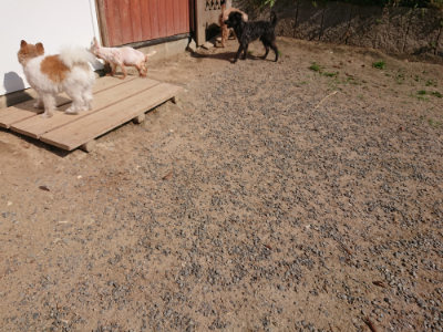 f:id:roukenhome-ann:20190524145149j:plain