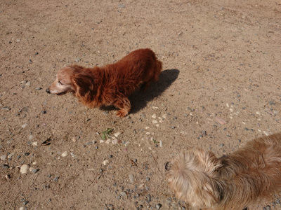 f:id:roukenhome-ann:20190524145156j:plain