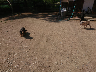 f:id:roukenhome-ann:20190524145212j:plain