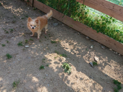 f:id:roukenhome-ann:20190524145218j:plain