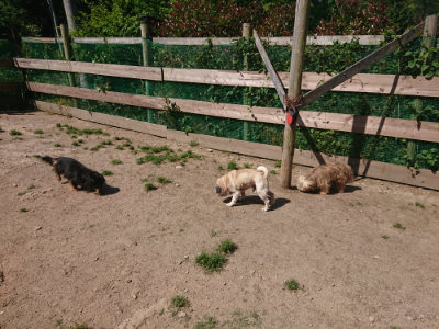 f:id:roukenhome-ann:20190524150023j:plain