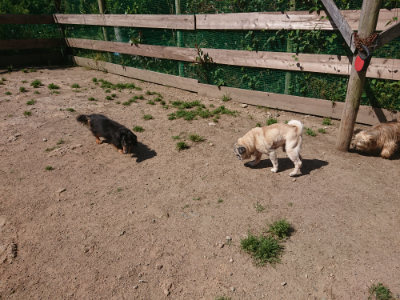 f:id:roukenhome-ann:20190524150027j:plain