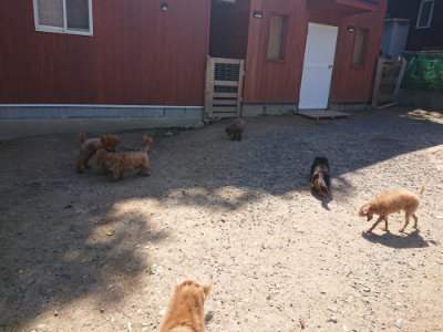 f:id:roukenhome-ann:20190524150032j:plain