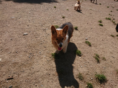 f:id:roukenhome-ann:20190524150037j:plain