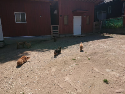 f:id:roukenhome-ann:20190524150055j:plain