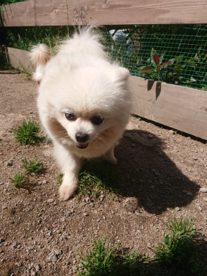 f:id:roukenhome-ann:20190524150110j:plain