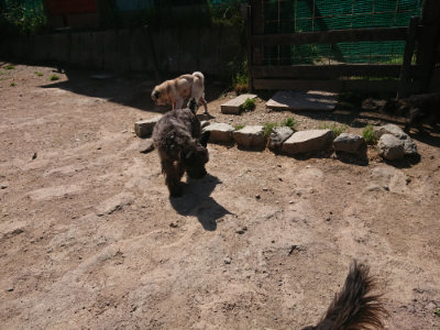 f:id:roukenhome-ann:20190524150116j:plain