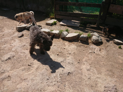 f:id:roukenhome-ann:20190524150123j:plain