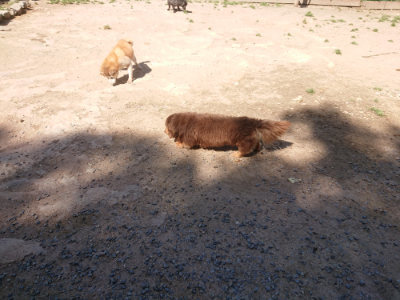 f:id:roukenhome-ann:20190524150128j:plain