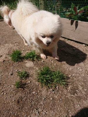 f:id:roukenhome-ann:20190524150144j:plain