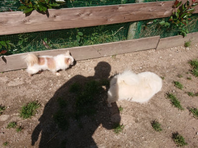 f:id:roukenhome-ann:20190524150214j:plain