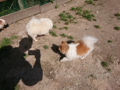 f:id:roukenhome-ann:20190524150219j:plain