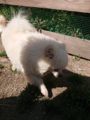 f:id:roukenhome-ann:20190524150239j:plain