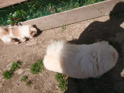 f:id:roukenhome-ann:20190524150243j:plain