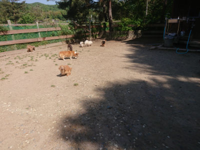 f:id:roukenhome-ann:20190524150301j:plain