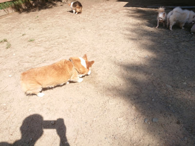 f:id:roukenhome-ann:20190524150306j:plain