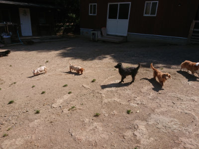 f:id:roukenhome-ann:20190524150319j:plain