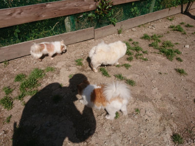 f:id:roukenhome-ann:20190524150345j:plain