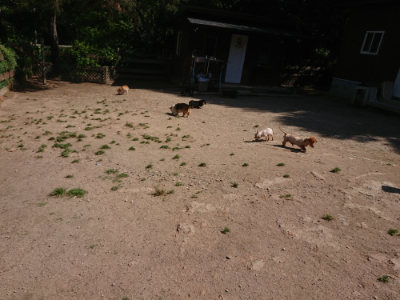 f:id:roukenhome-ann:20190524150352j:plain