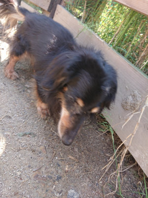 f:id:roukenhome-ann:20190524150357j:plain