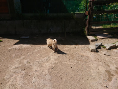 f:id:roukenhome-ann:20190524150412j:plain