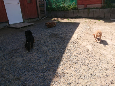 f:id:roukenhome-ann:20190524150434j:plain