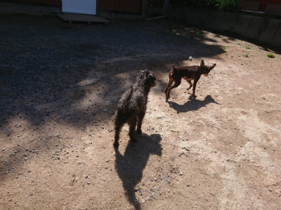 f:id:roukenhome-ann:20190524150439j:plain