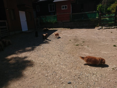 f:id:roukenhome-ann:20190524150454j:plain