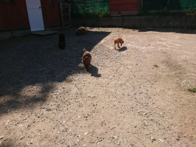 f:id:roukenhome-ann:20190524150500j:plain
