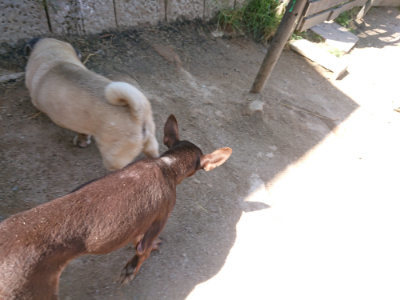 f:id:roukenhome-ann:20190524150509j:plain