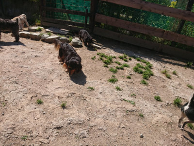 f:id:roukenhome-ann:20190524150513j:plain