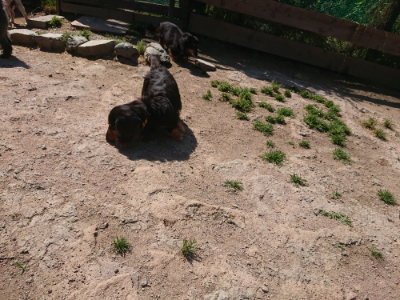 f:id:roukenhome-ann:20190524150521j:plain