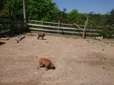 f:id:roukenhome-ann:20190524150532j:plain