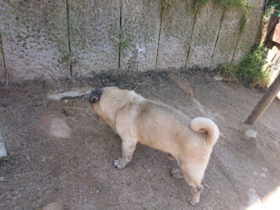 f:id:roukenhome-ann:20190524150542j:plain
