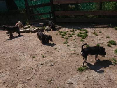 f:id:roukenhome-ann:20190524150548j:plain