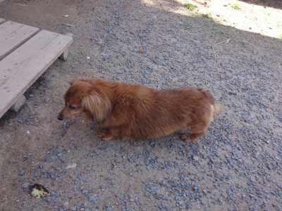 f:id:roukenhome-ann:20190524150604j:plain