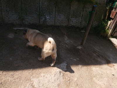 f:id:roukenhome-ann:20190524150608j:plain