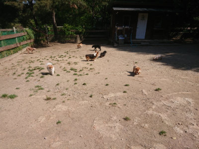 f:id:roukenhome-ann:20190524150613j:plain