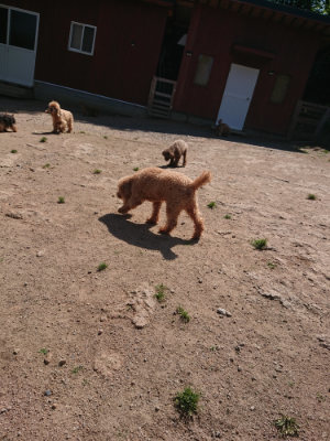 f:id:roukenhome-ann:20190524150617j:plain
