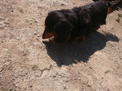 f:id:roukenhome-ann:20190524150623j:plain