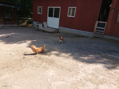 f:id:roukenhome-ann:20190524150629j:plain