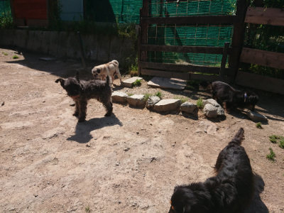 f:id:roukenhome-ann:20190524150635j:plain
