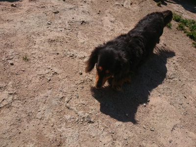 f:id:roukenhome-ann:20190524150640j:plain